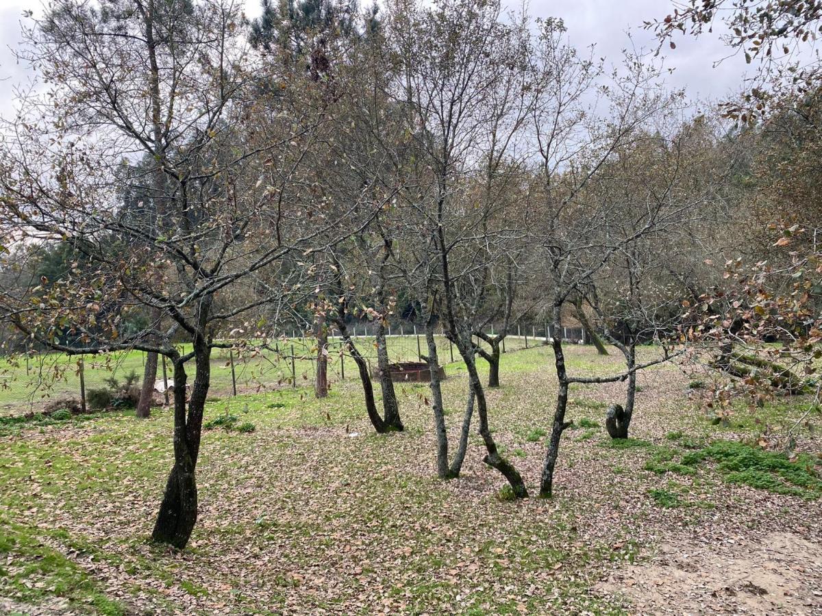 Quinas Playground Villa Souto da Carpalhosa Dış mekan fotoğraf